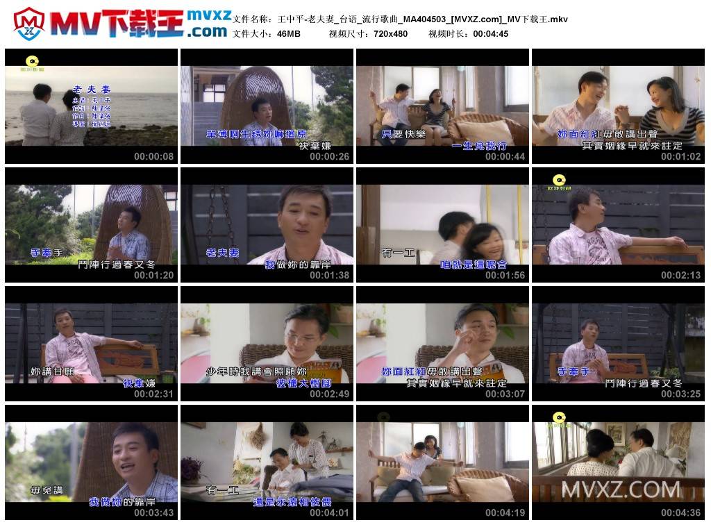 王中平-老夫妻_台语_流行歌曲_MA404503